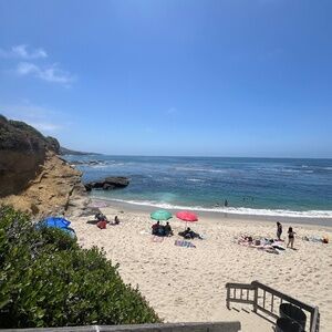 Meet your Posher, Charlie!